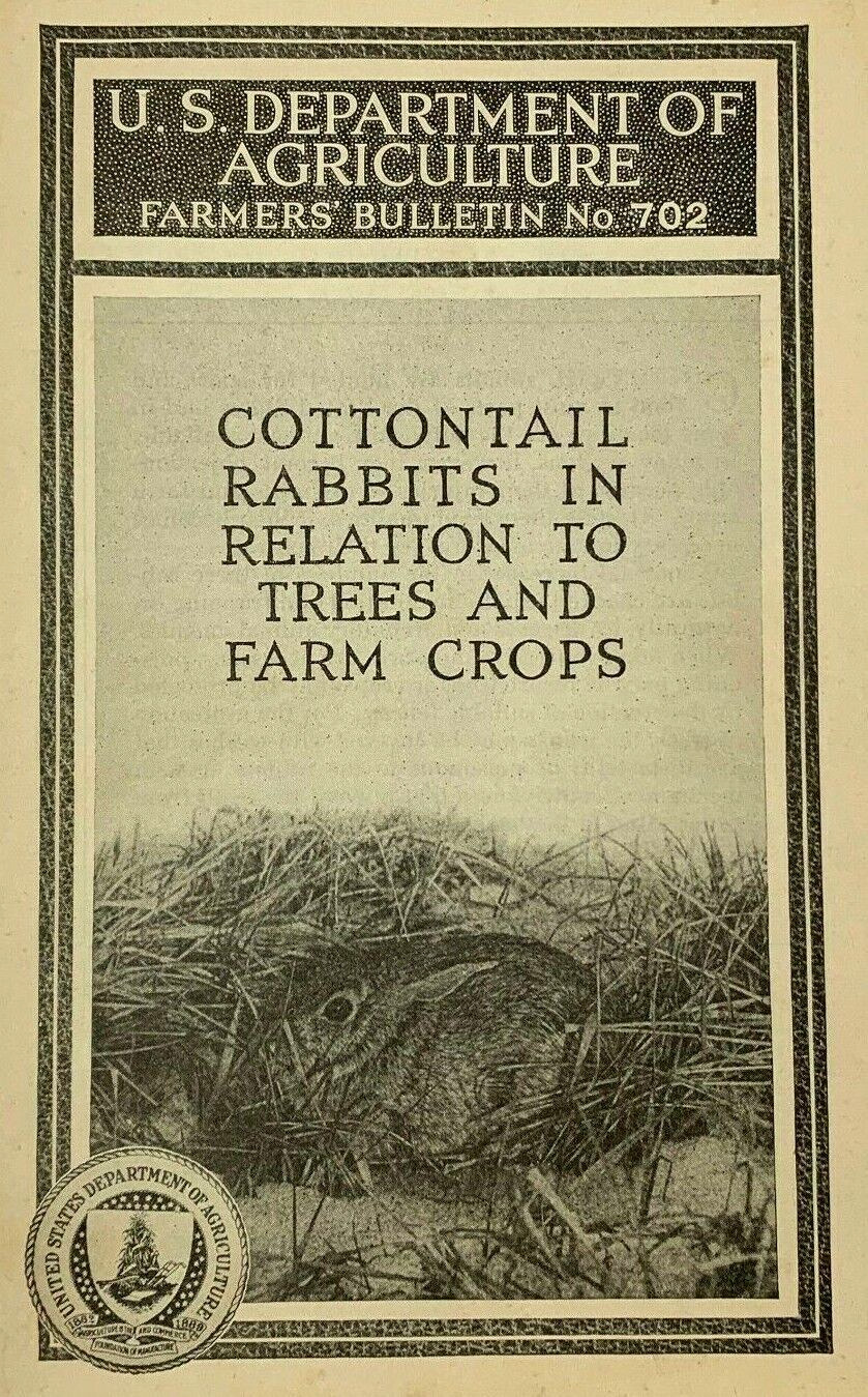 US Department of Agriculture Farmer\'s Bulletin No. 702 1929 Cottontail Rabbits
