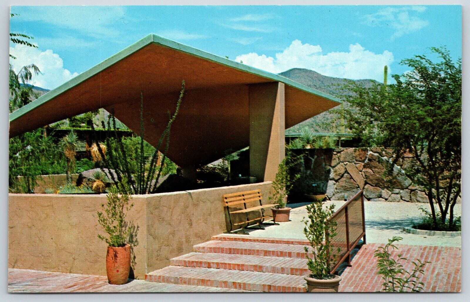 Postcard Arizona - Sonora Desert Museum, Tucson Arizona Unposted