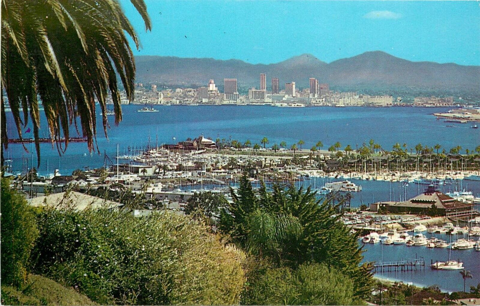 Postcard 1960s California San Diego Bay Birdseye Teich Western  CA24-523