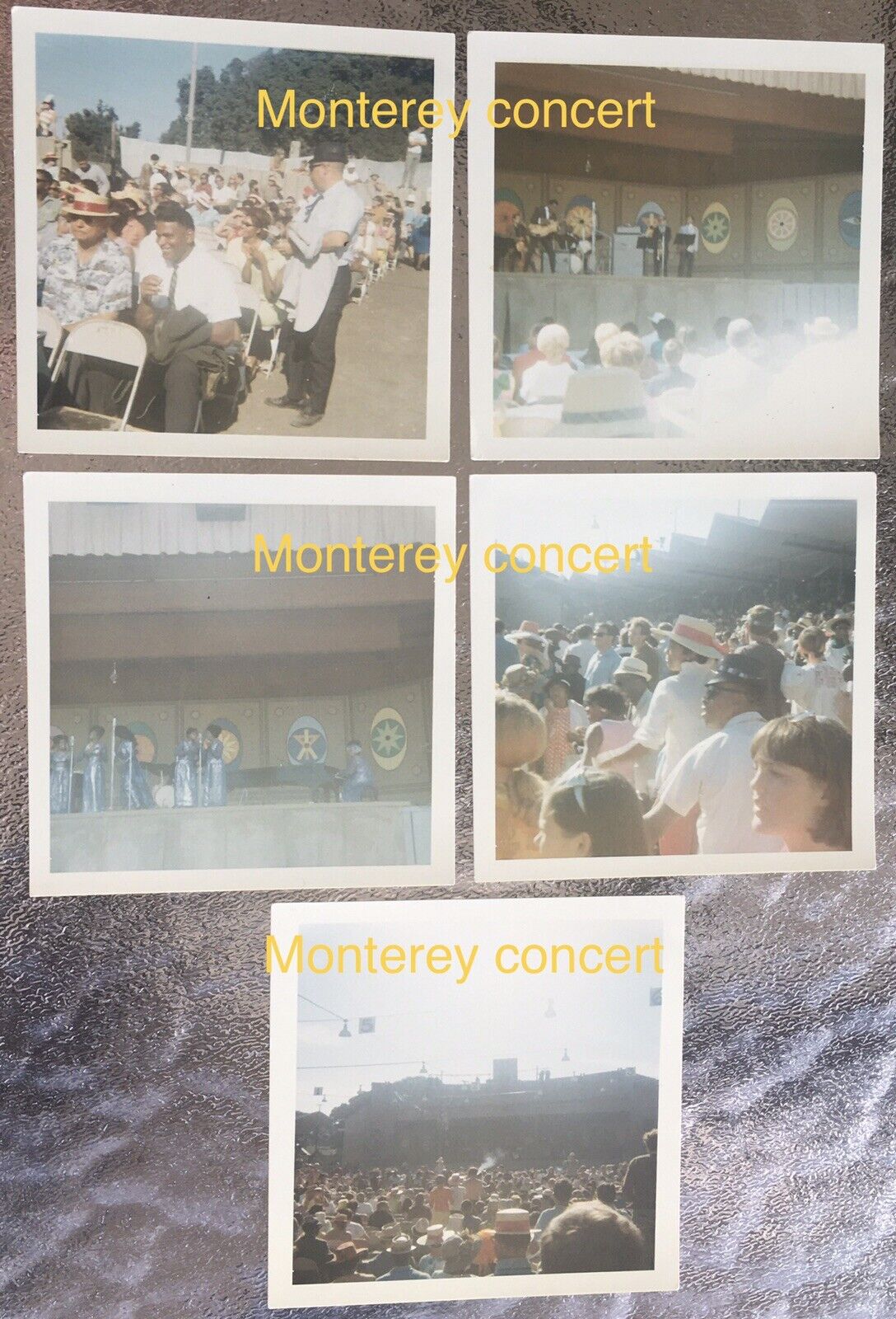 FIVE Original ca.1967 Monterey Jazz or Pop Festival Concert Snapshot Photos