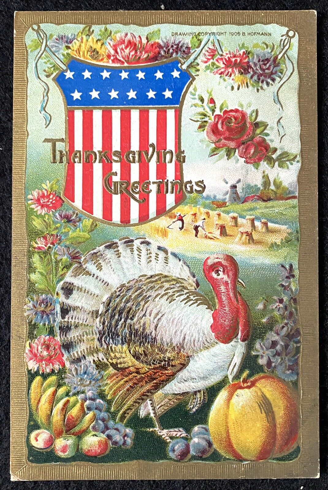Vintage Postcard Thanksgiving Greetings Turkey Patriotic Shield Fall Harvest EX