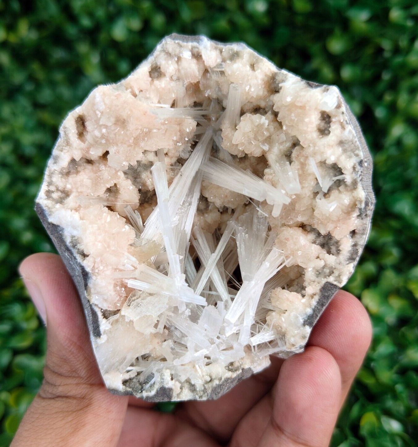 Natural Scolecite in Heulandite Geode Rock, Crystal, Mineral #612