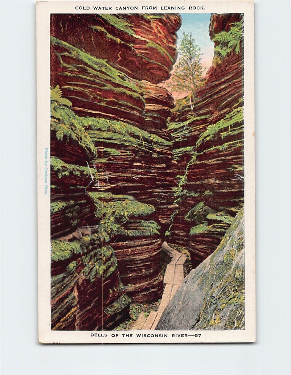 Postcard Cold Water Canyon from Leaning Rock Dells of the Wisconsin River USA