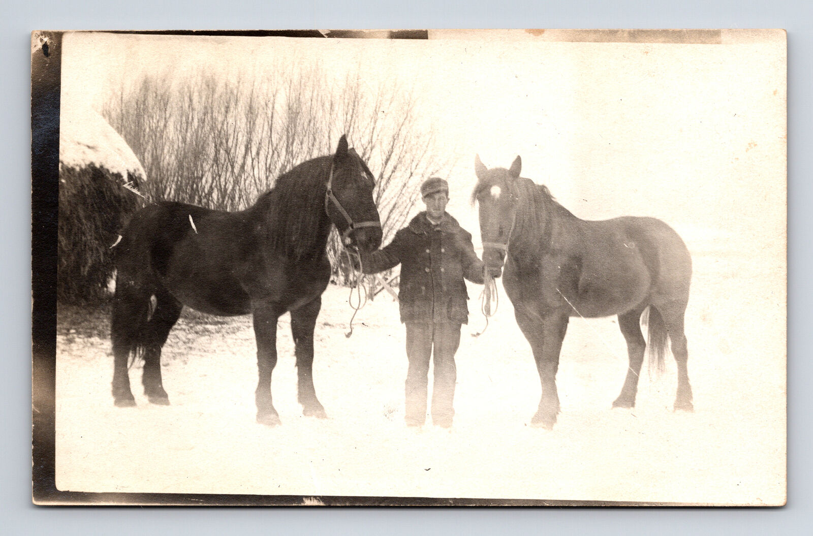 RPPC Snowy Scne Man and Two Large Horses Farm Posted to Claremont CA? Postcard