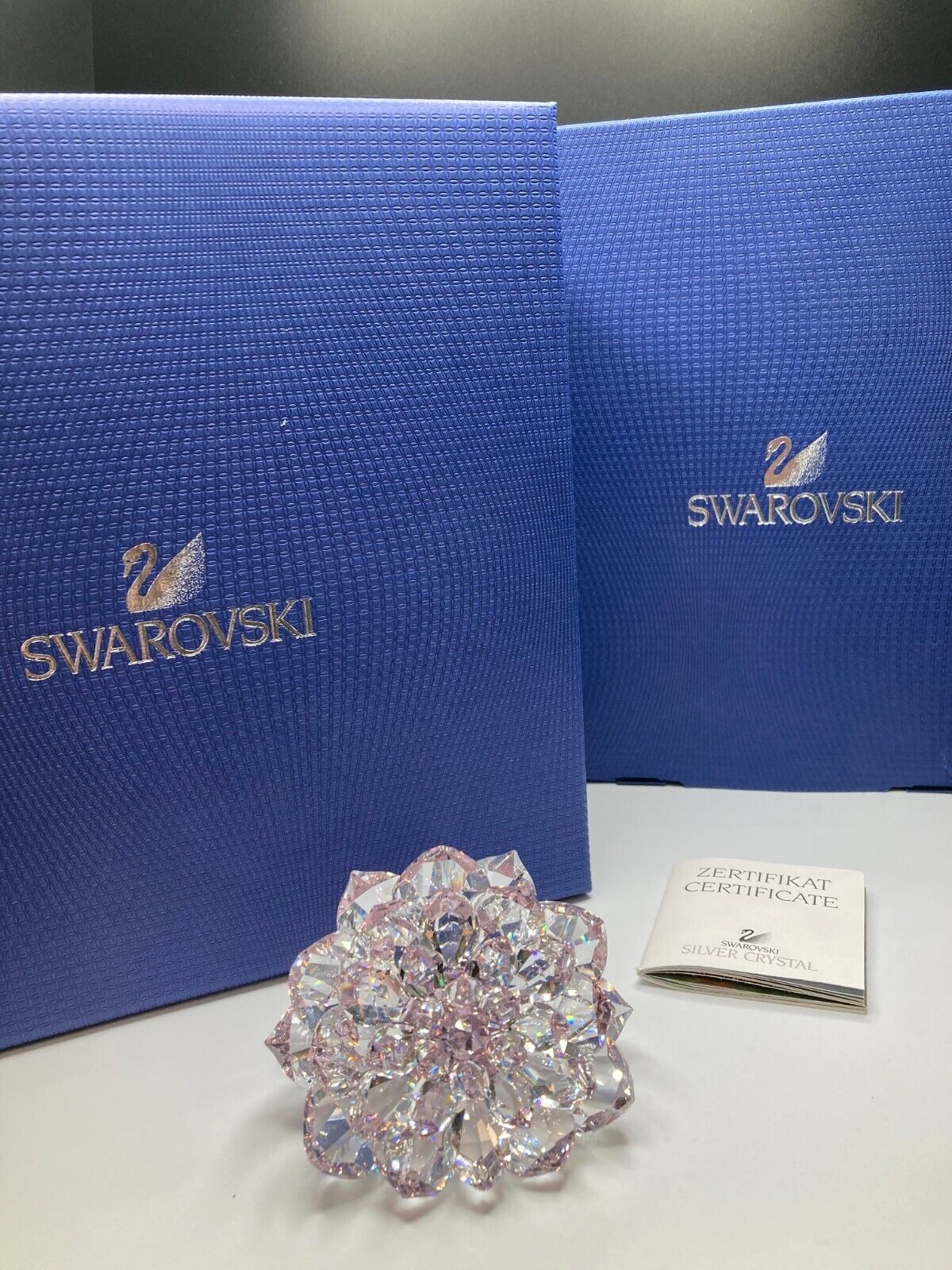Swarovski Crystal 5129463 Dahlia Flower In Replacement Box