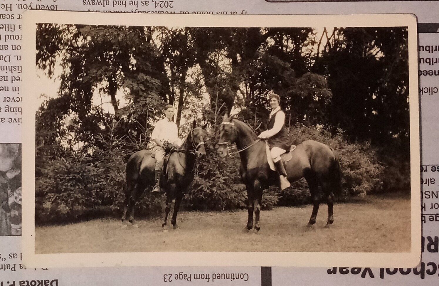 Unused - Antique - Horses RPPC Postcard