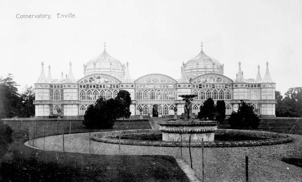 The conservatory at Enville Hall, Staffordshire, c1910. Exotic gla- Old Photo