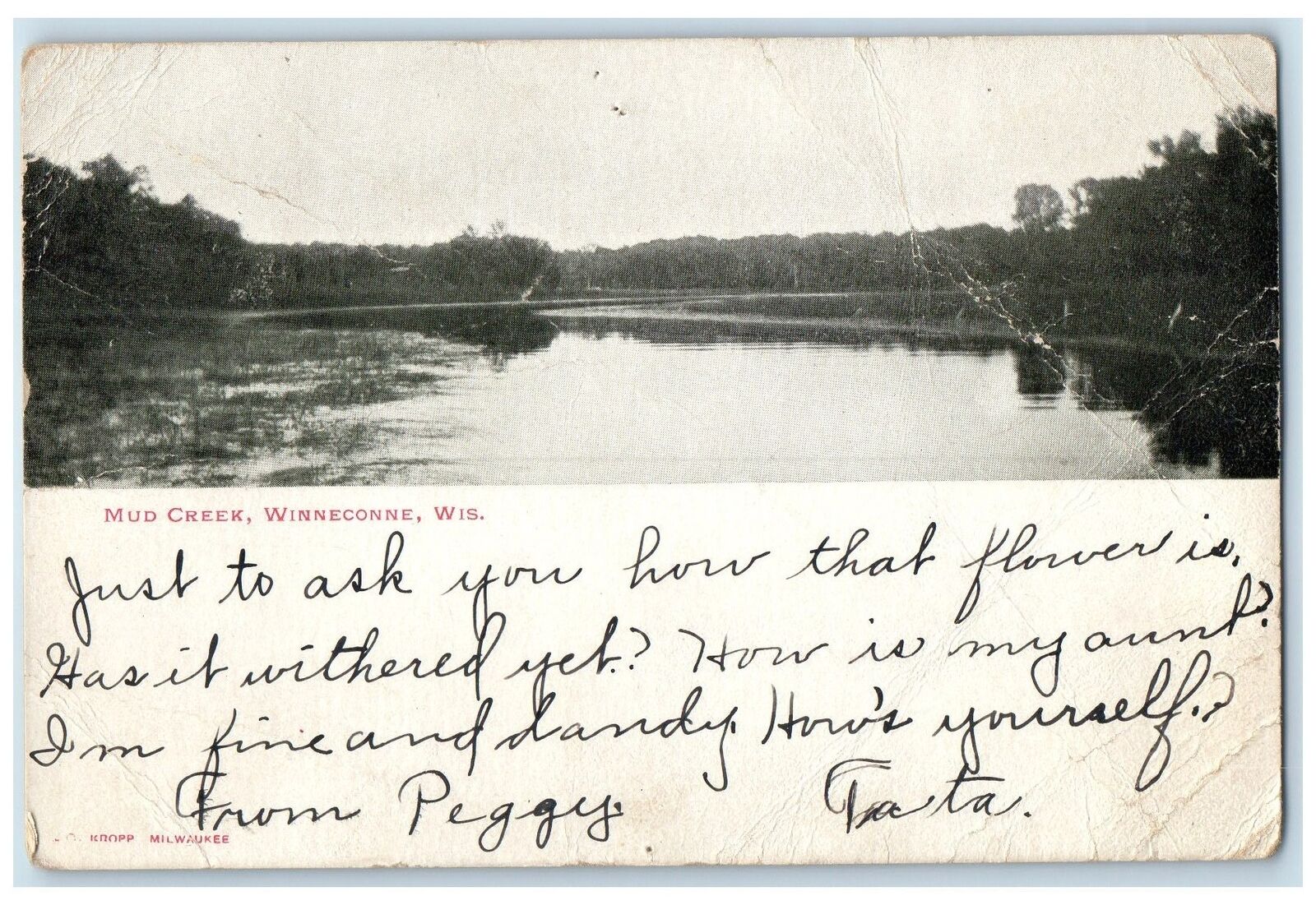 1906 Scenic View Of Mud Creek Winneconne Wisconsin WI Posted Dale WI Postcard