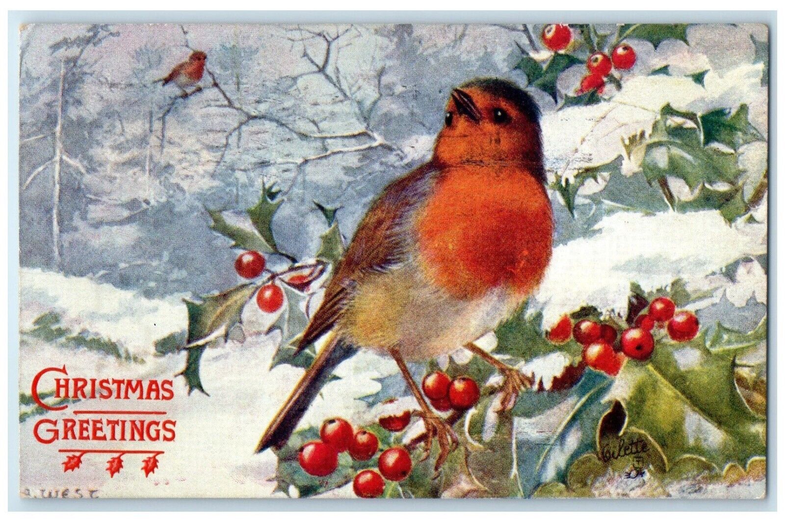 1908 Christmas Greetings Song Bird Holly Berries Winter Oilette Tuck\'s Postcard