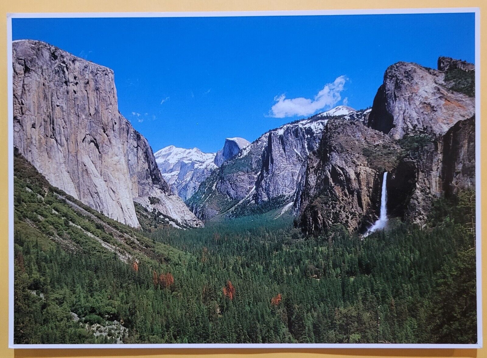 Vintage Postcard - Yosemite Valley - California - Large 5 x 7 Inches