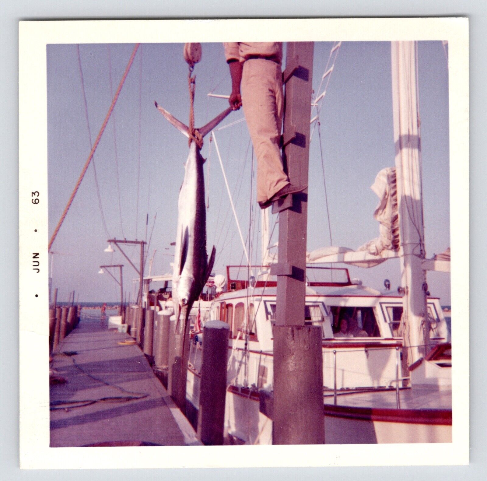 c1960s Fisherman with Marlin Catch Sailboat Docks Vintage Photos
