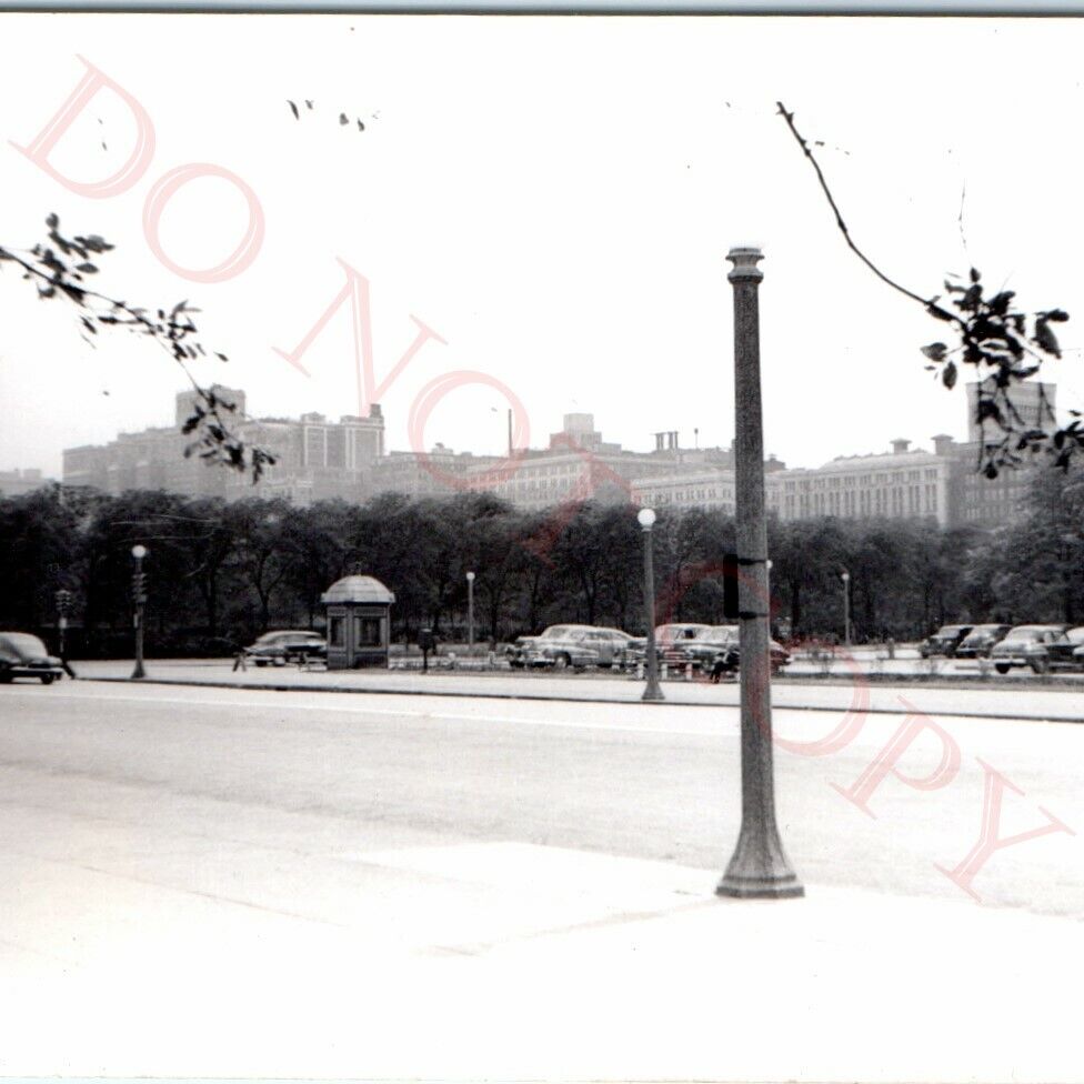 c1940s Chicago, IL Downtown Real Photo Park Skyscrapers Streetlamp Cars Trees C9