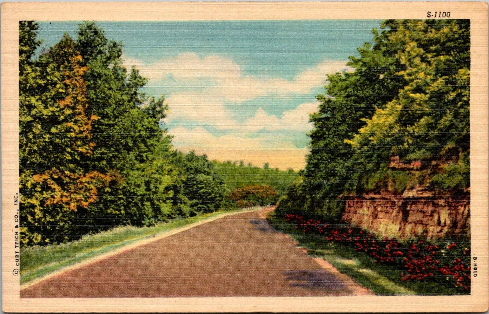 Vintage Postcard Scenic Road through Mountains Trees Flowers