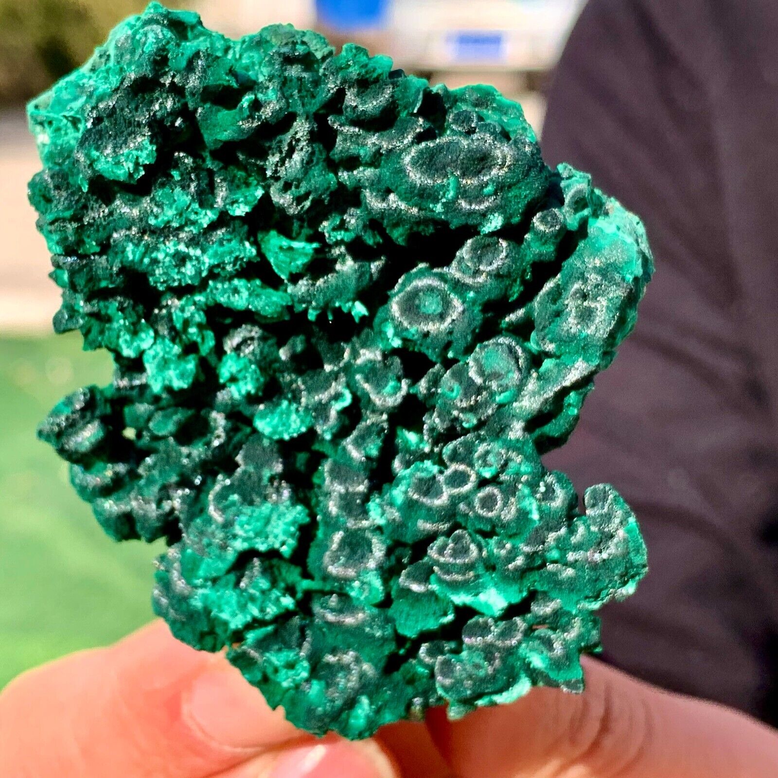 99g Natural glossy Malachite cat eye transparent cluster rough mineral sample