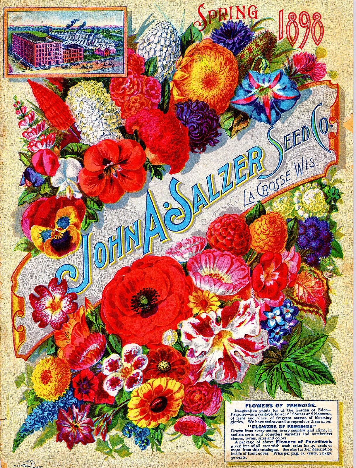 1898 Salzer Paradise Vintage Flowers Seed Packet Catalogue Advertisement Poster 