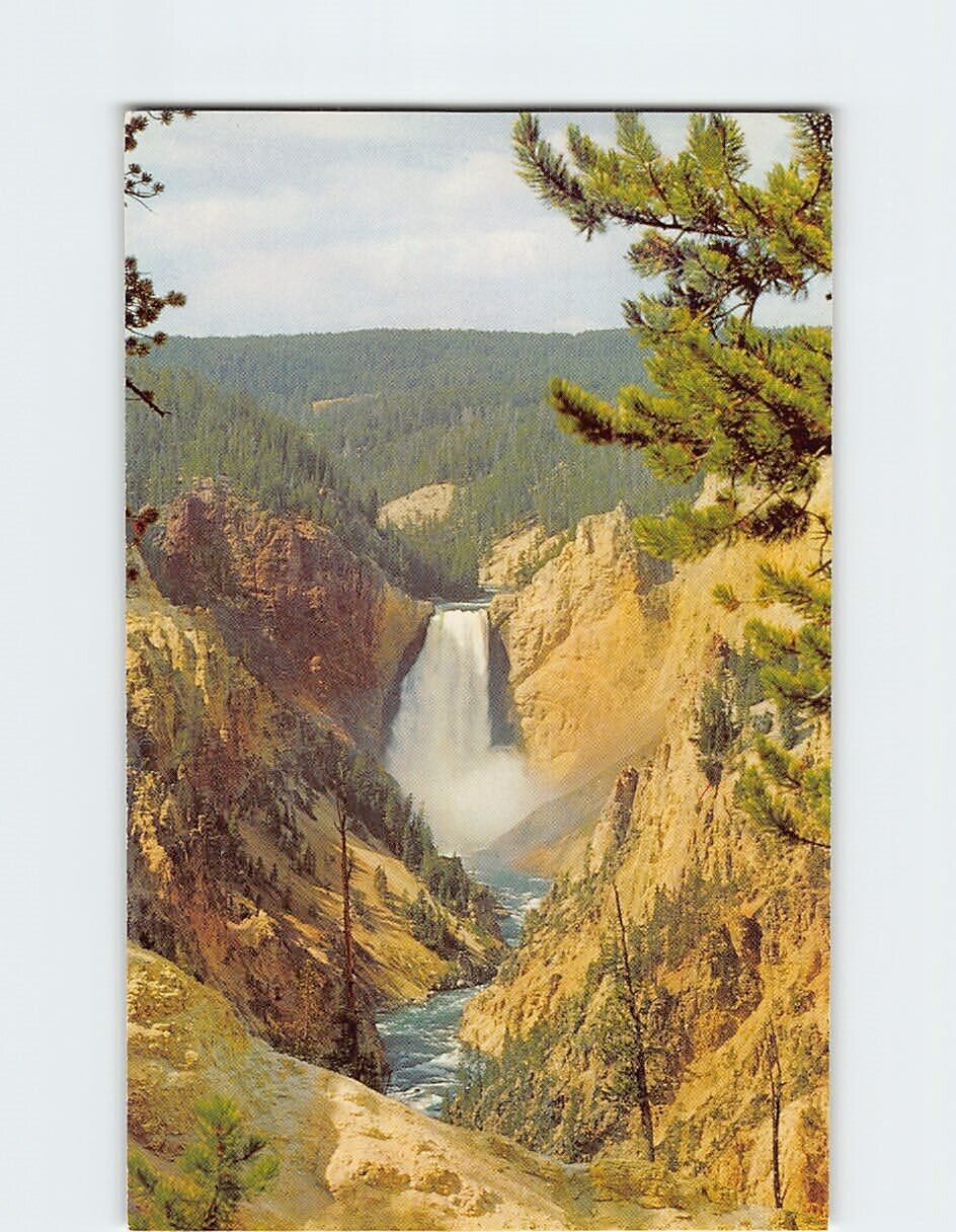 Postcard Lower Falls and Grand Canyon Yellowstone National Park Wyoming USA