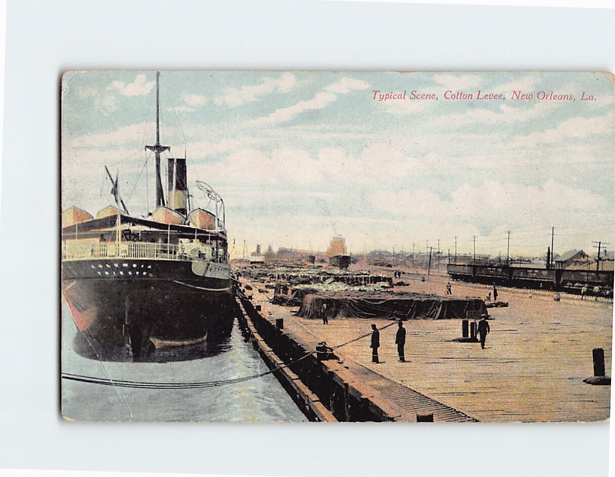 Postcard Typical Scene Cotton Levee New Orleans Louisiana USA