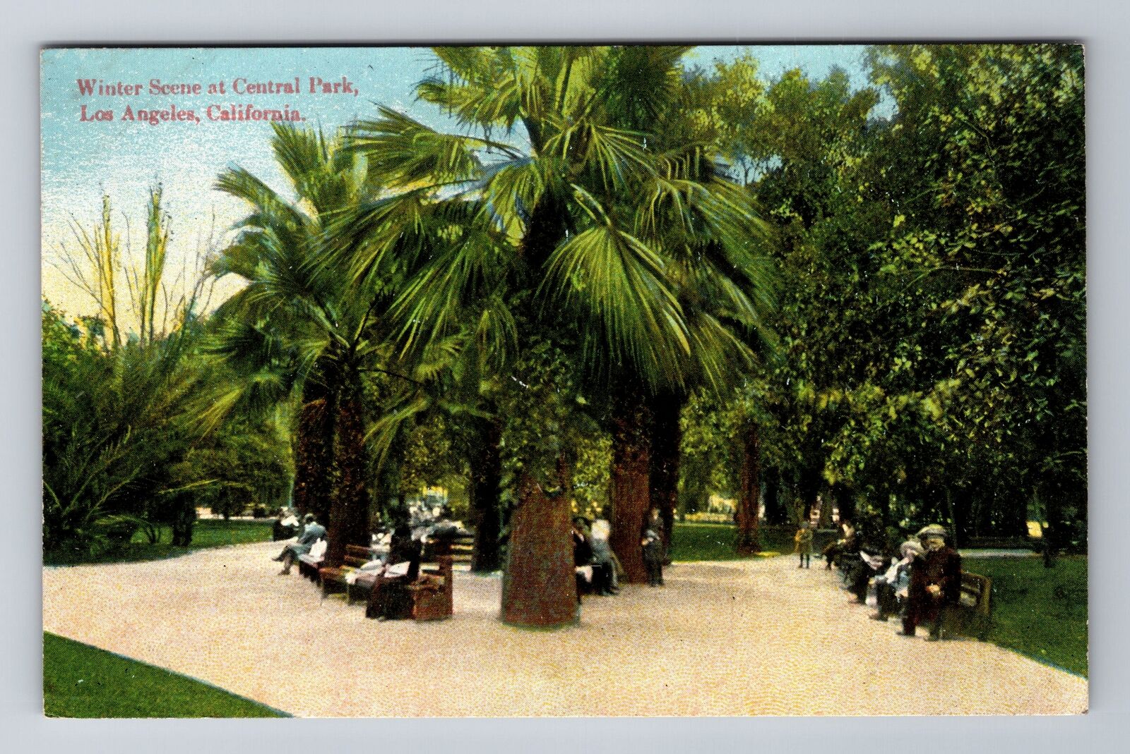 Los Angeles CA- California, Winter Scene At Central Park, Vintage Postcard
