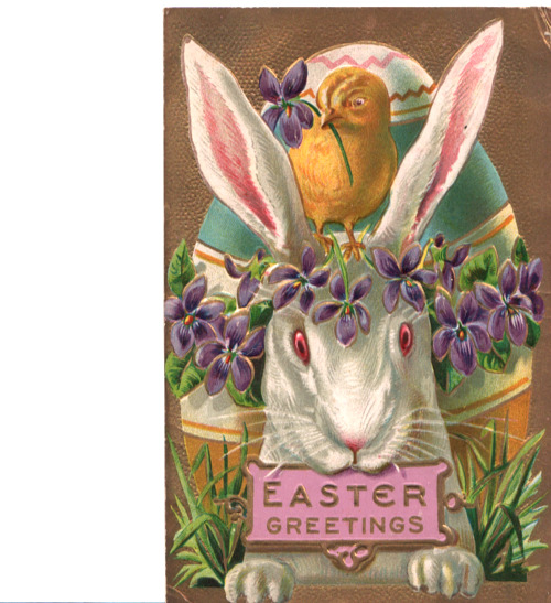 Antique Embossed Easter Greetings Prominent Bunny Egg Floral Gold Postcard A16