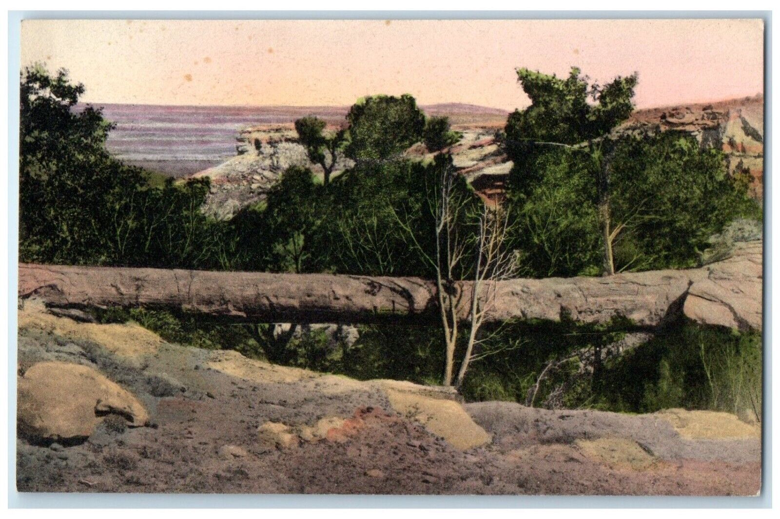 c1940 Natural Bridge Petrified Forest National Monument Adamana Arizona Postcard