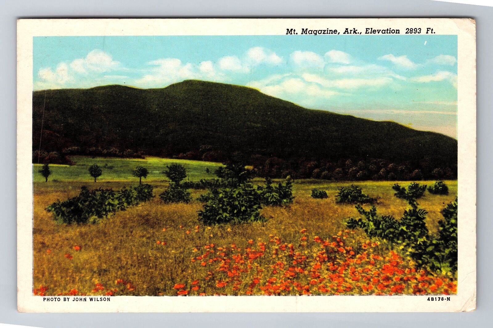 Mount Magazine AR-Arkansas, Landscape, Antique, Vintage c1954 Souvenir Postcard