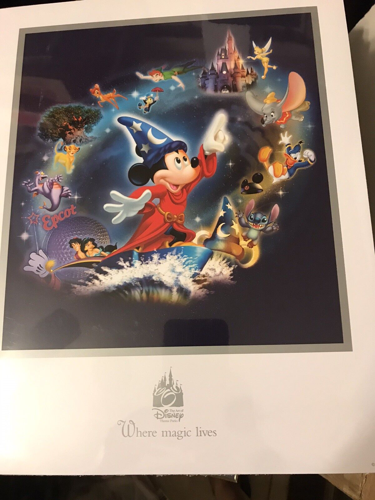Disney Where The Magic Lives Character Poster
