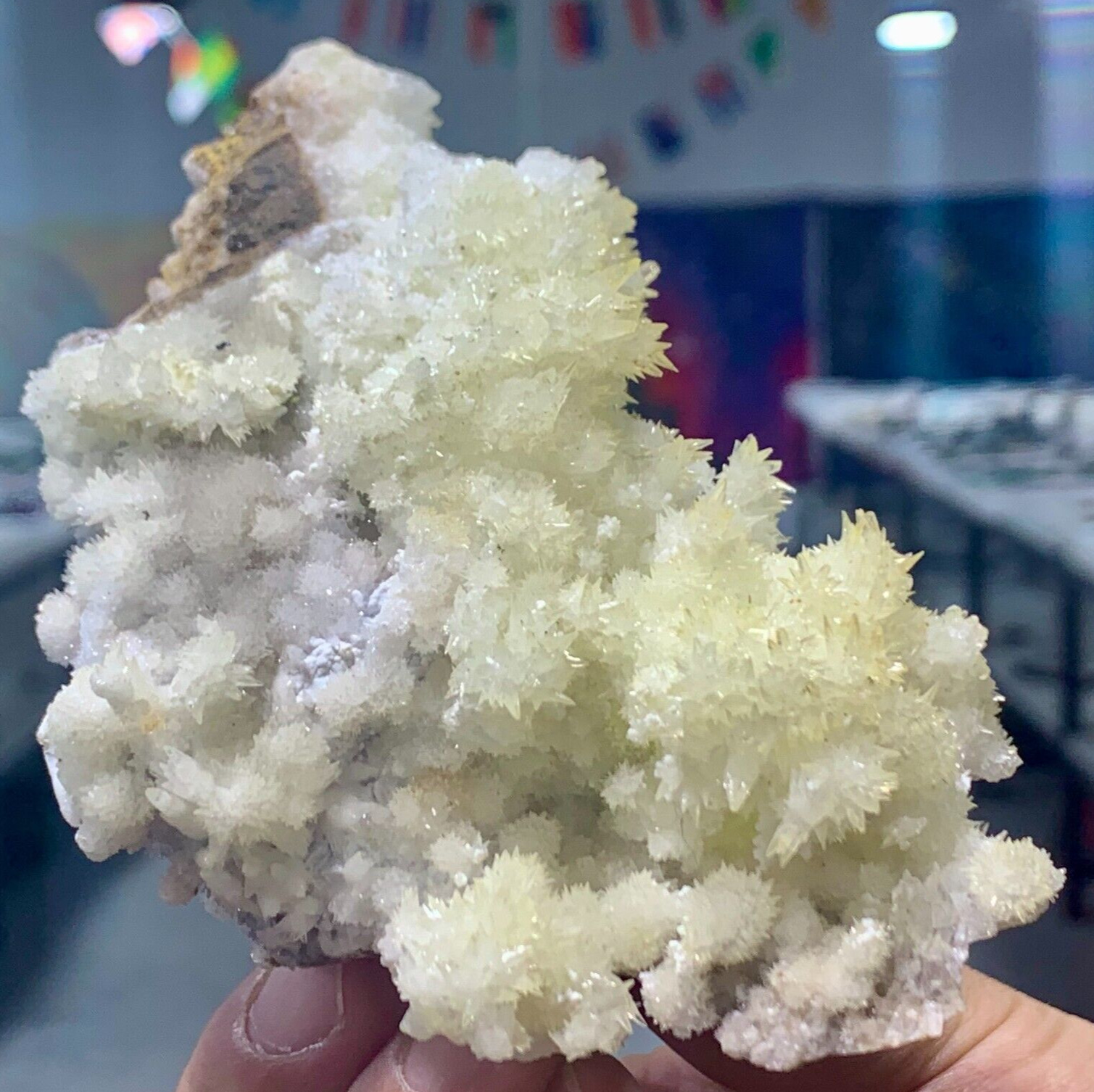 255G Museum Quality White Flowery Hydrozincite Crystal Cluster Mineral Specimen
