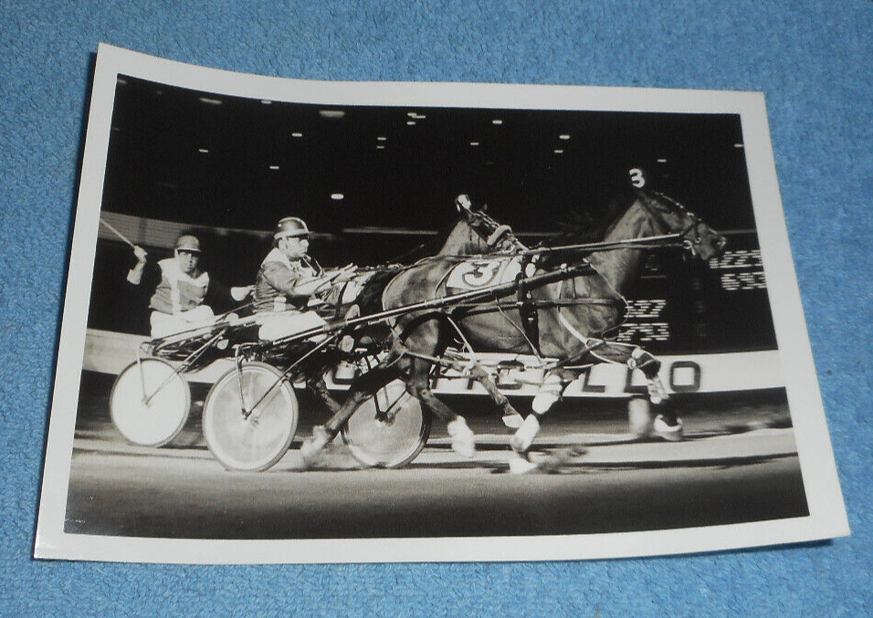 1970s Harness Racing Press Photo Horse \