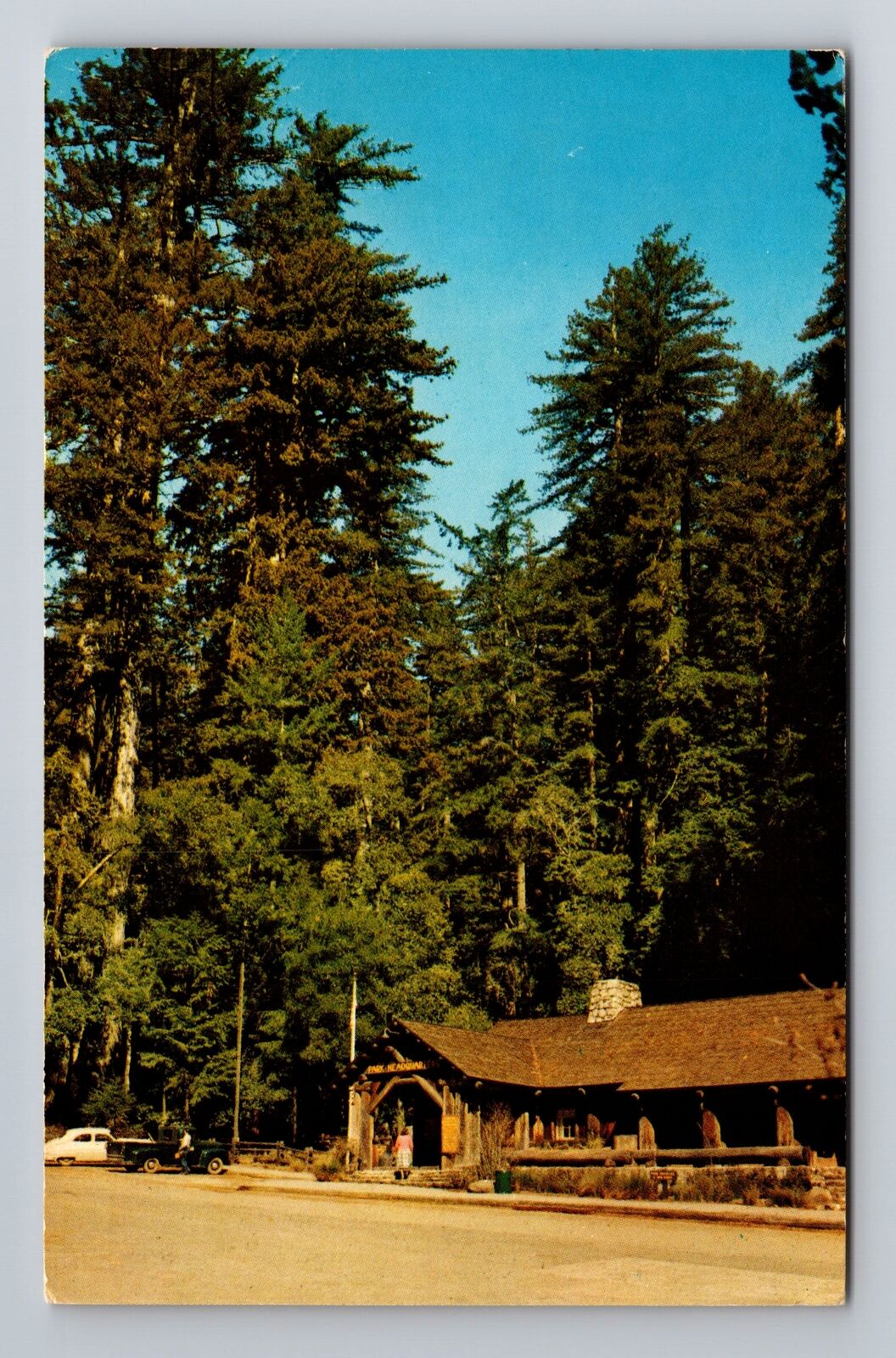 Big Basin Redwoods Park CA-California, Rangers Station, Vintage c1966 Postcard