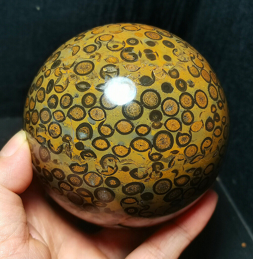 TOP 1117G Natural Polished Leopard Print Money Agate Crystal Ball Healing WD983