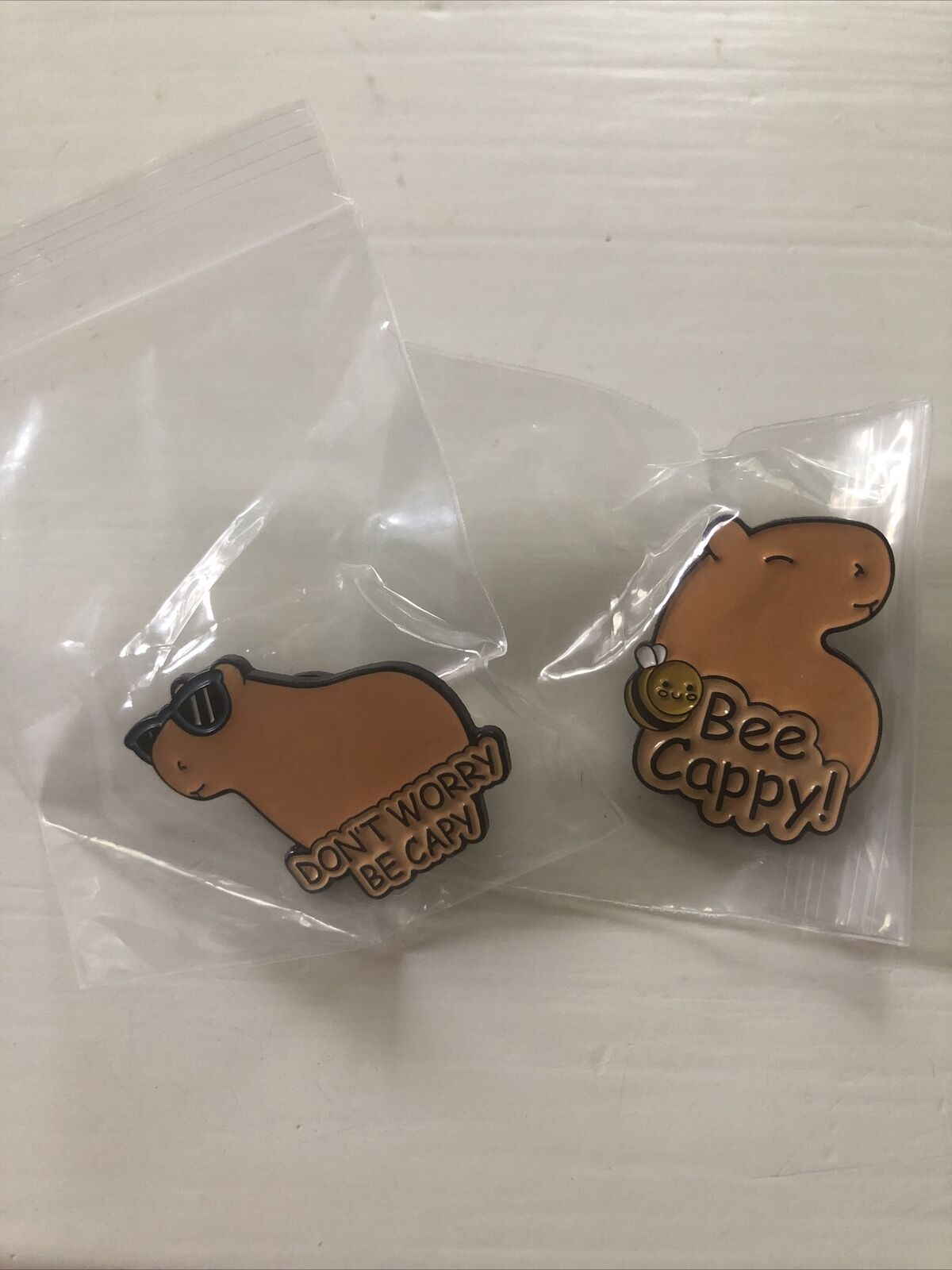 Capybara Enamel Pins Set Of 2