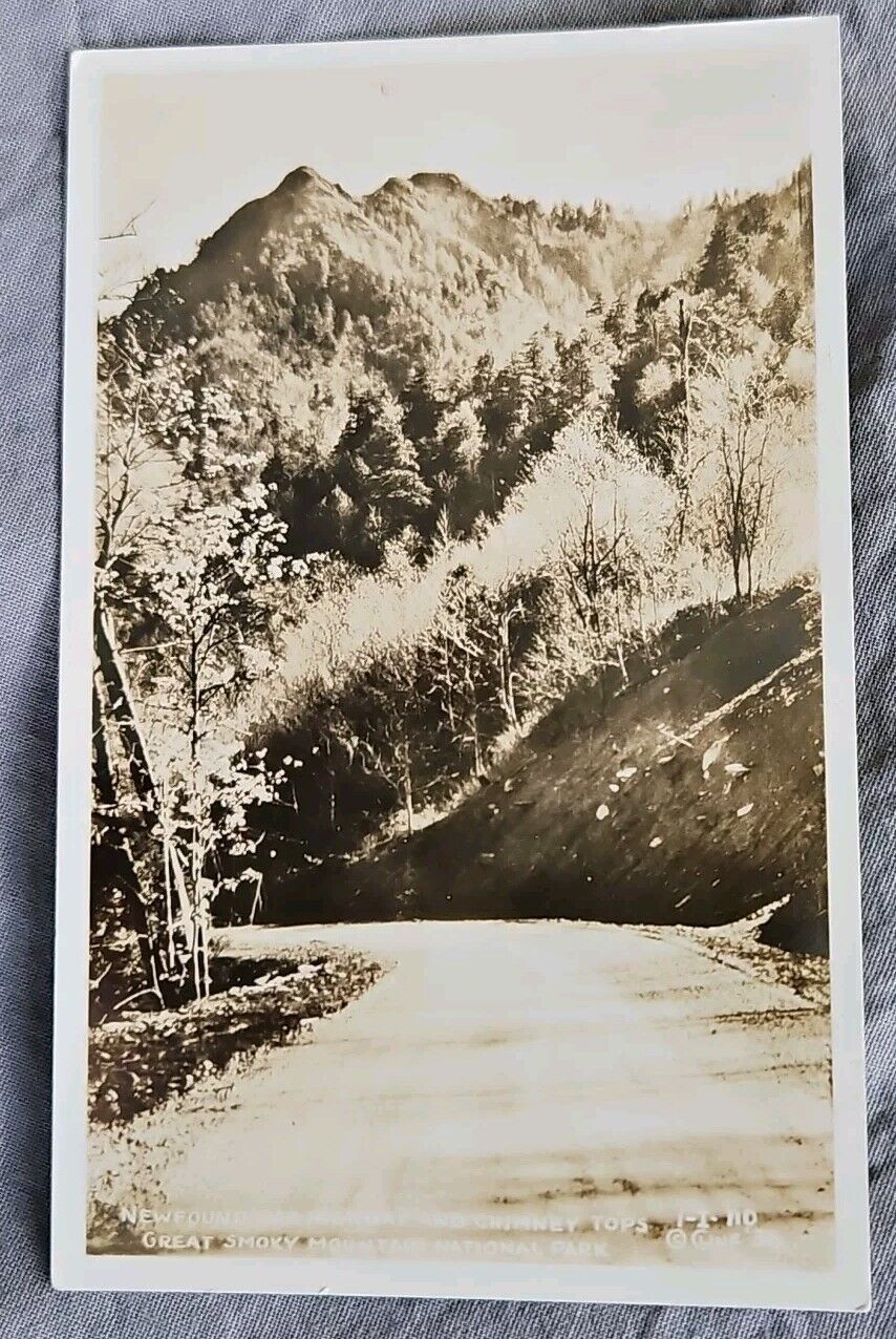 RPPC Newfound Gap Highway Great Smoky Mountains National Park TN Vtg Postcard