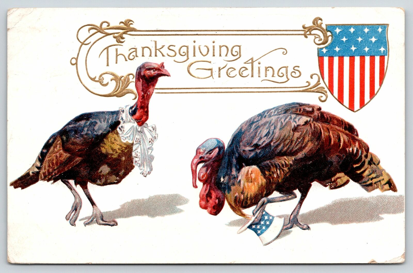 Patriotic Thanksgiving Fantasy~Dressed Tom & Hen Turkey~Uncle Sam Hat~1909 