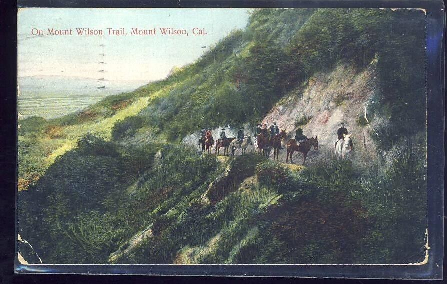 VTG Postcard Antique, Mount Wilson CA California, 1911, Horses on Trail