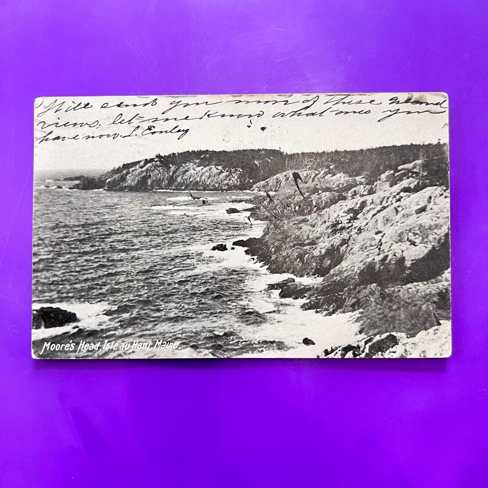 Moore\'s Head Isle au Haut Maine POSTED 1906 Undivided Postcard