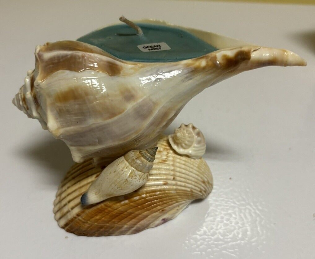 Vintage Shell Candle 