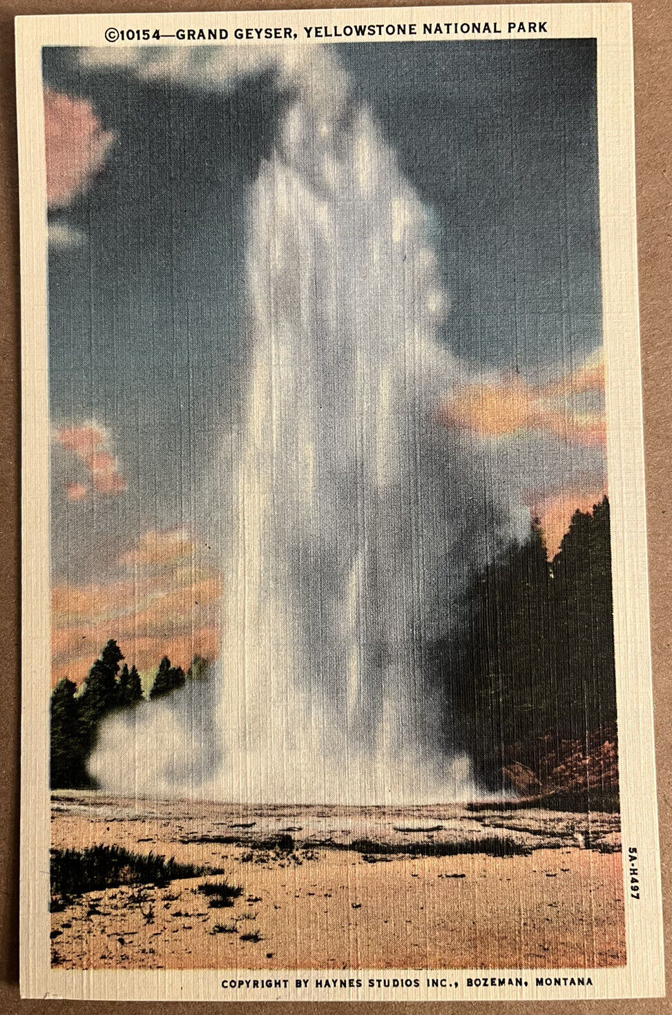 Yellowstone Grand Geyser Haynes Photo Vintage Wyoming Postcard c1930