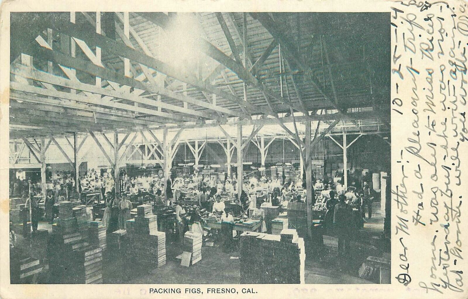 Postcard California Fresno Packing figs interior 1914 Farm agriculture 23-8081