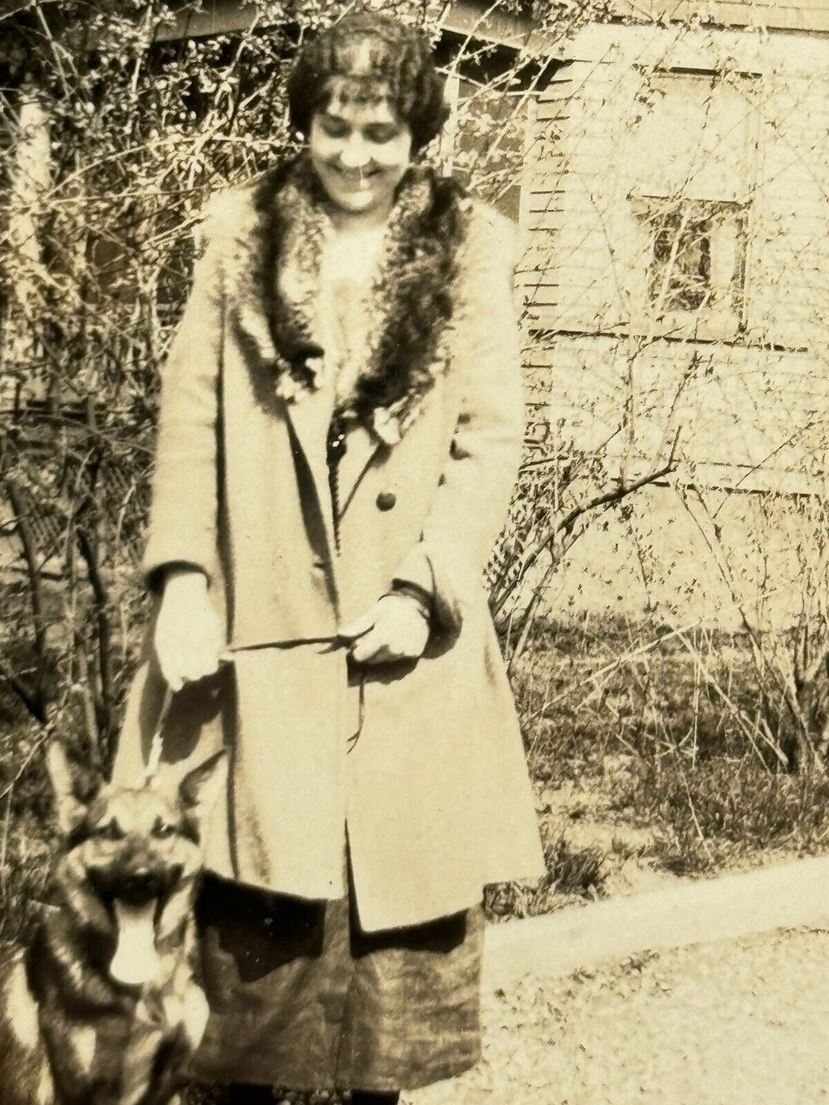 1N Photograph Woman With Dog German Shepherd 1920\'s Portrait 