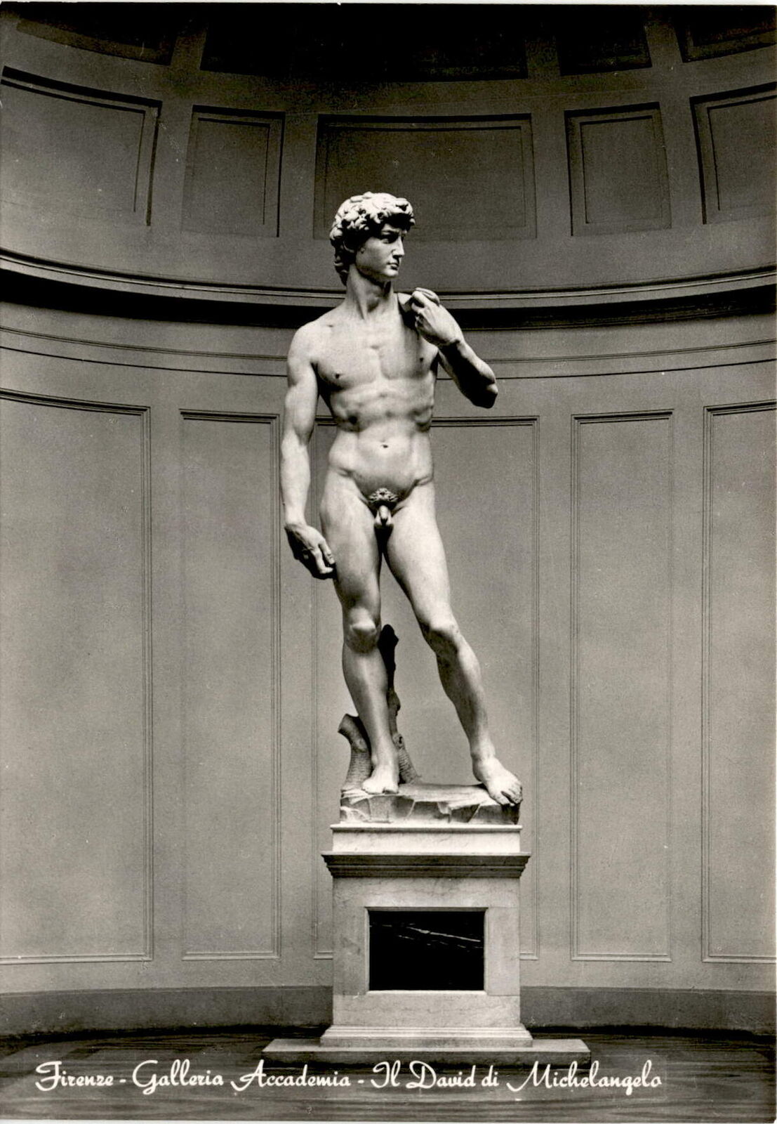 Firenze Galleria Accademia, Il David di Michelangelo, Florence, La Postcard