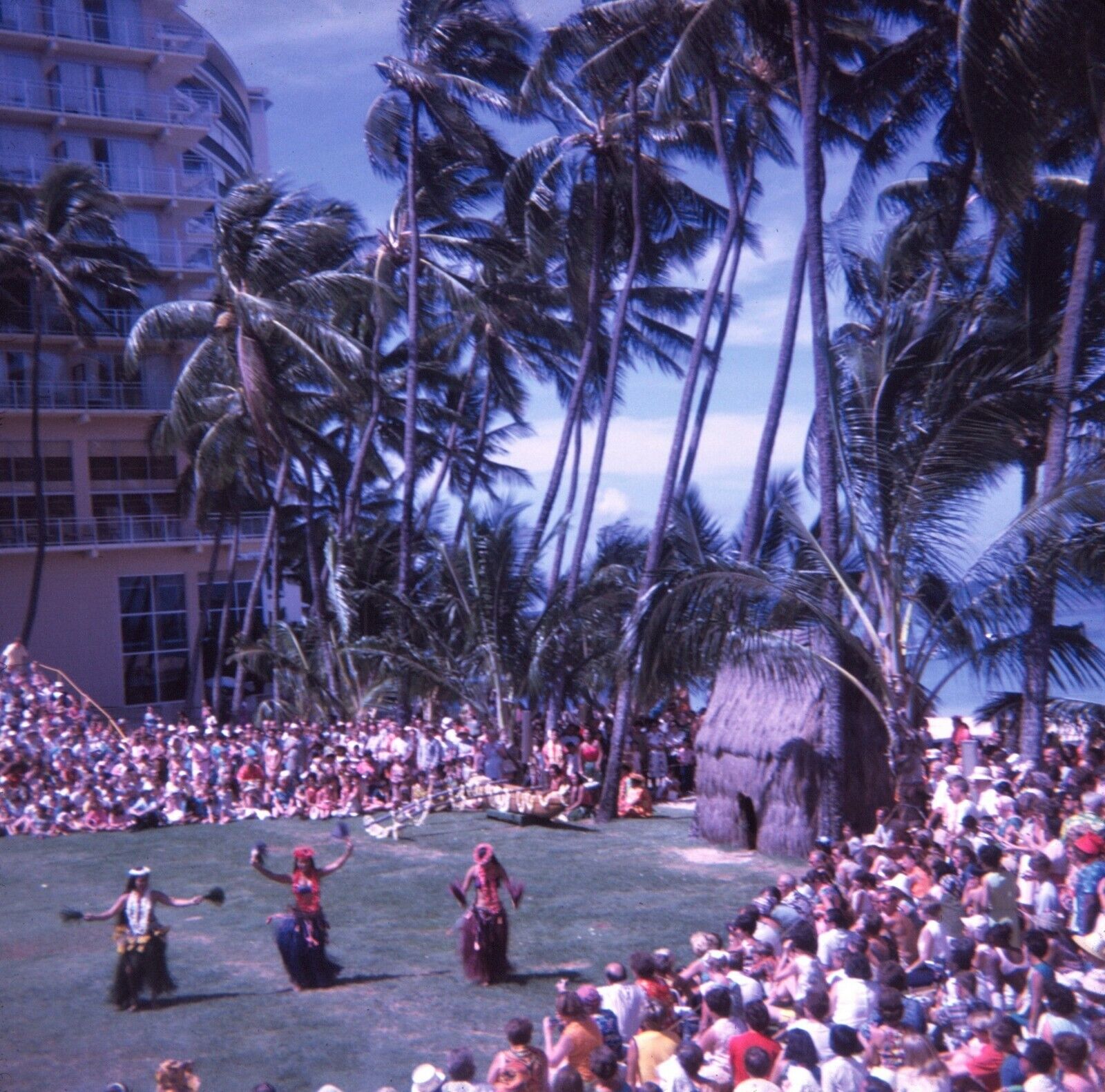 1967 Hawaiian Luau Dancers Crowd Palm Trees Hawaii Vintage 126 Color Slide