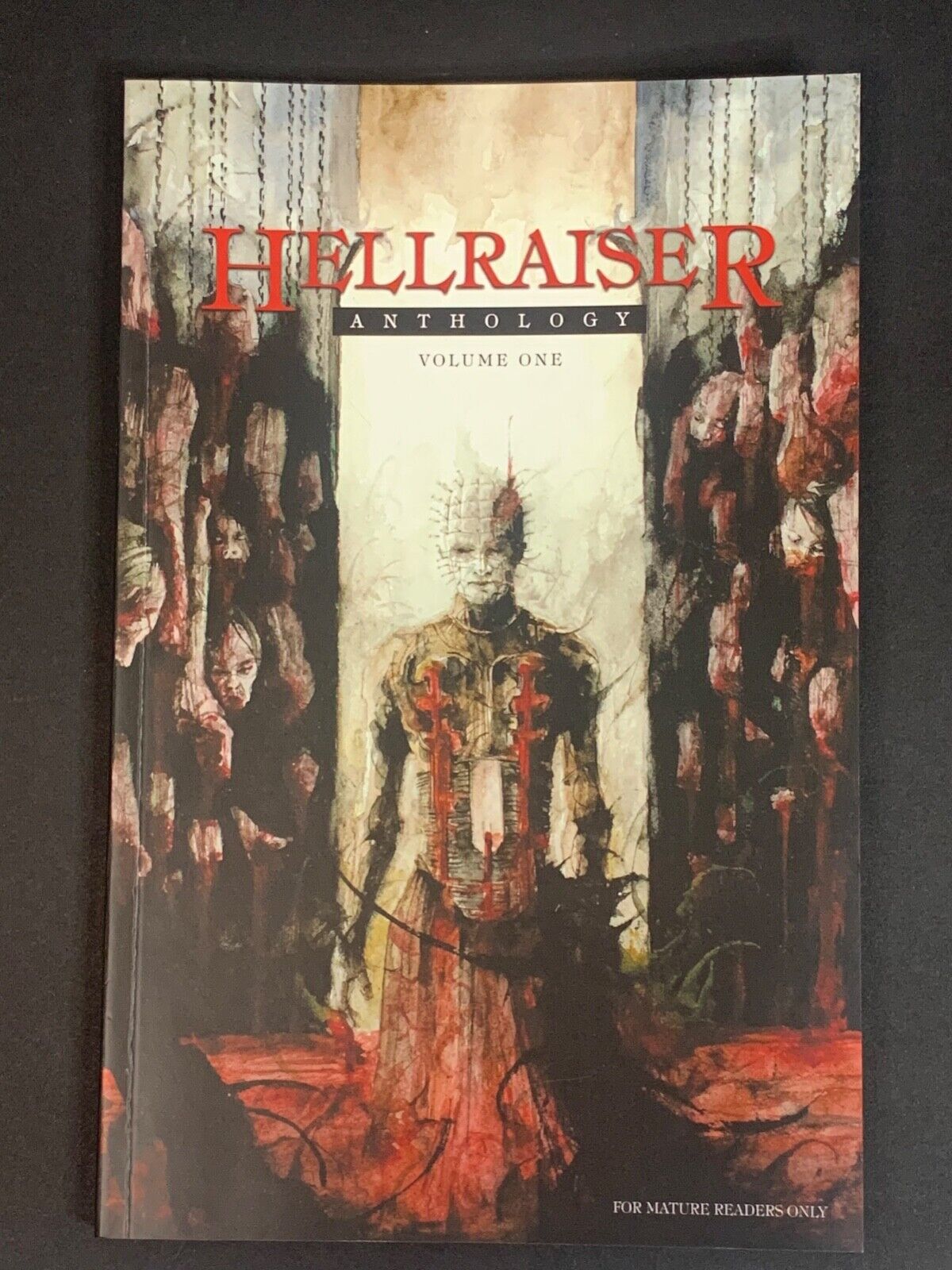HELLRAISER Anthology Volume 1 - Softcover Rare OOP 2017 Clive Barker