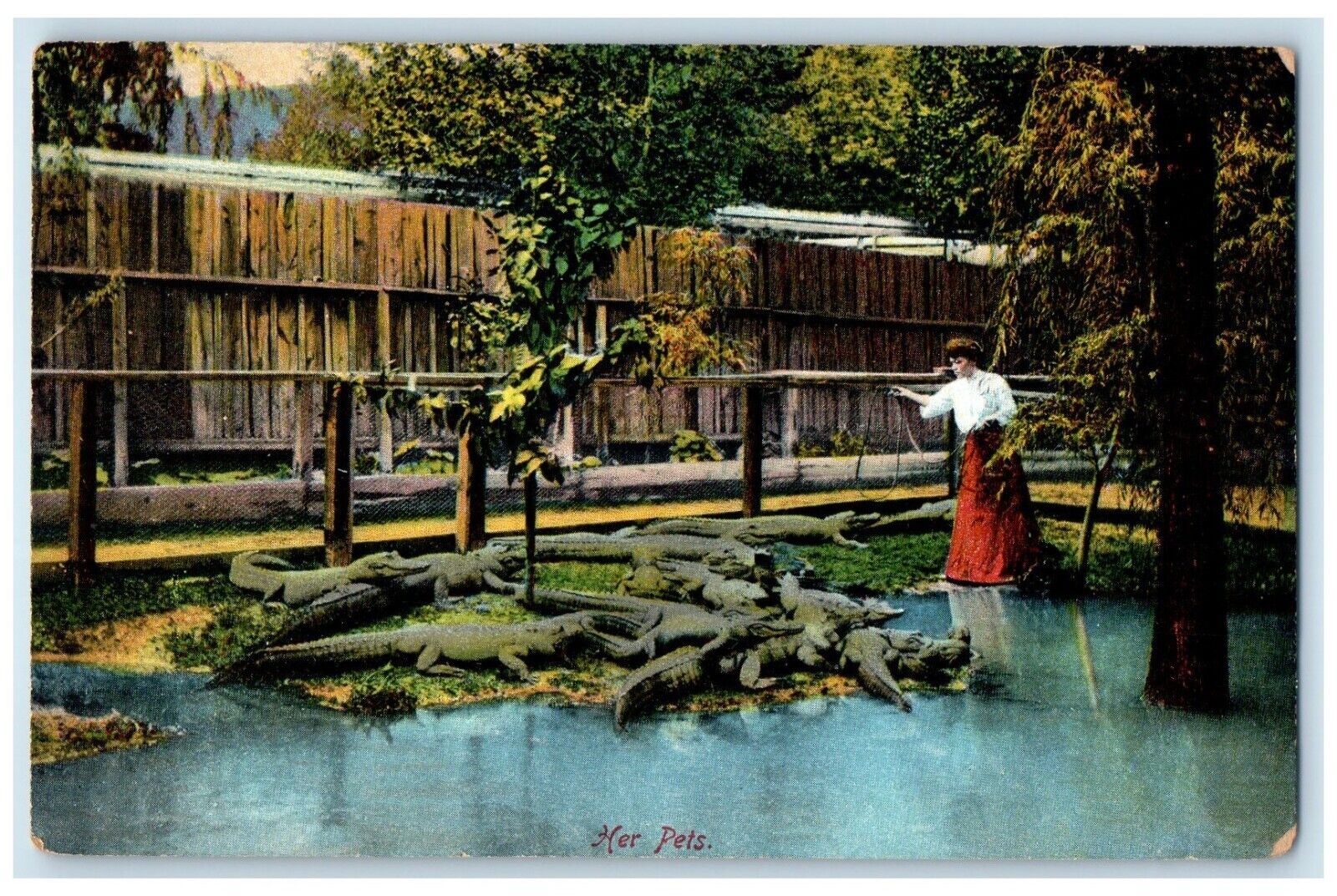 c1910\'s Women And Her Pets Alligator Florida FL Unposted Antique Postcard