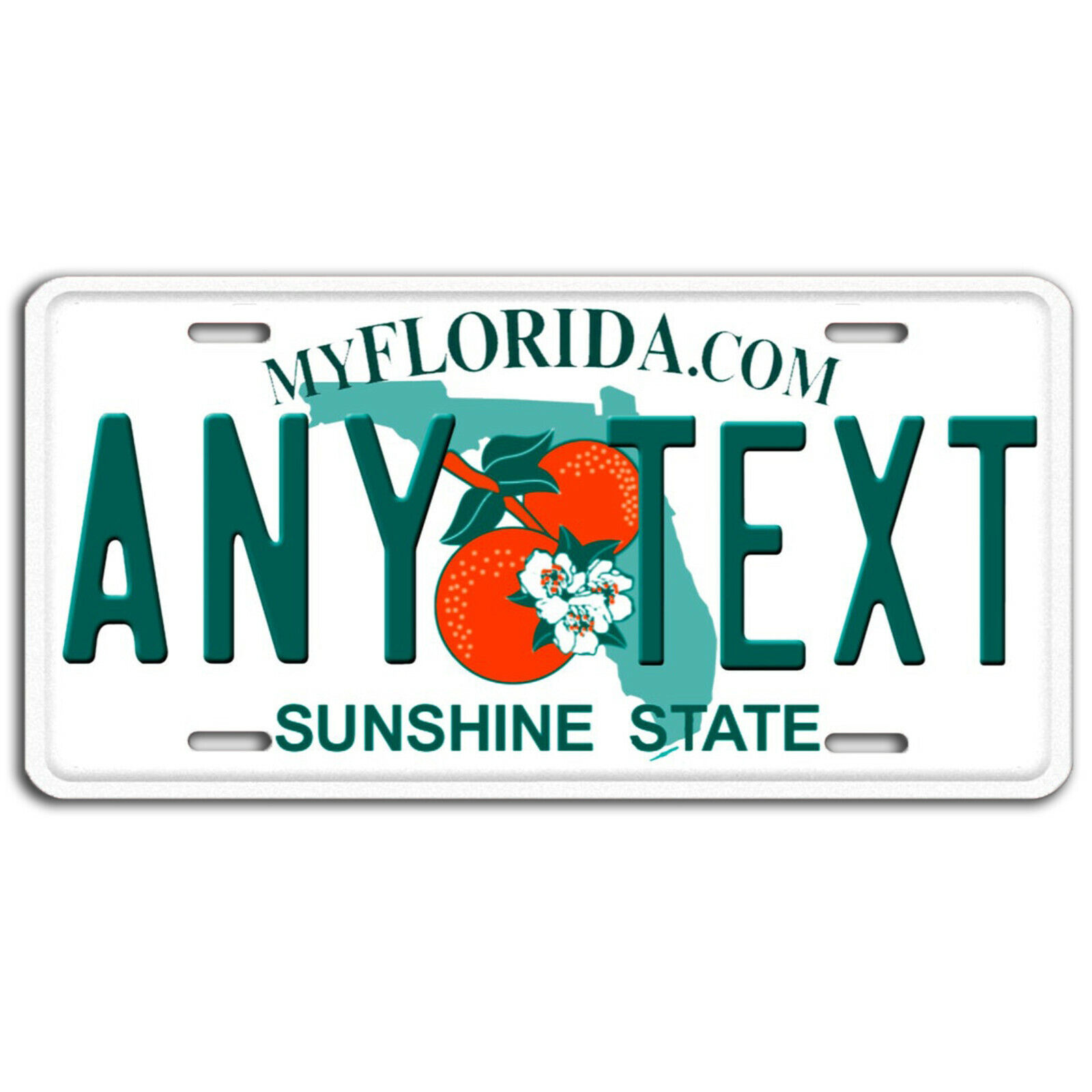 FLORIDA PERSONALIZED CUSTOM ALUMINUM LICENSE PLATE Tag Any Text Name 1990s