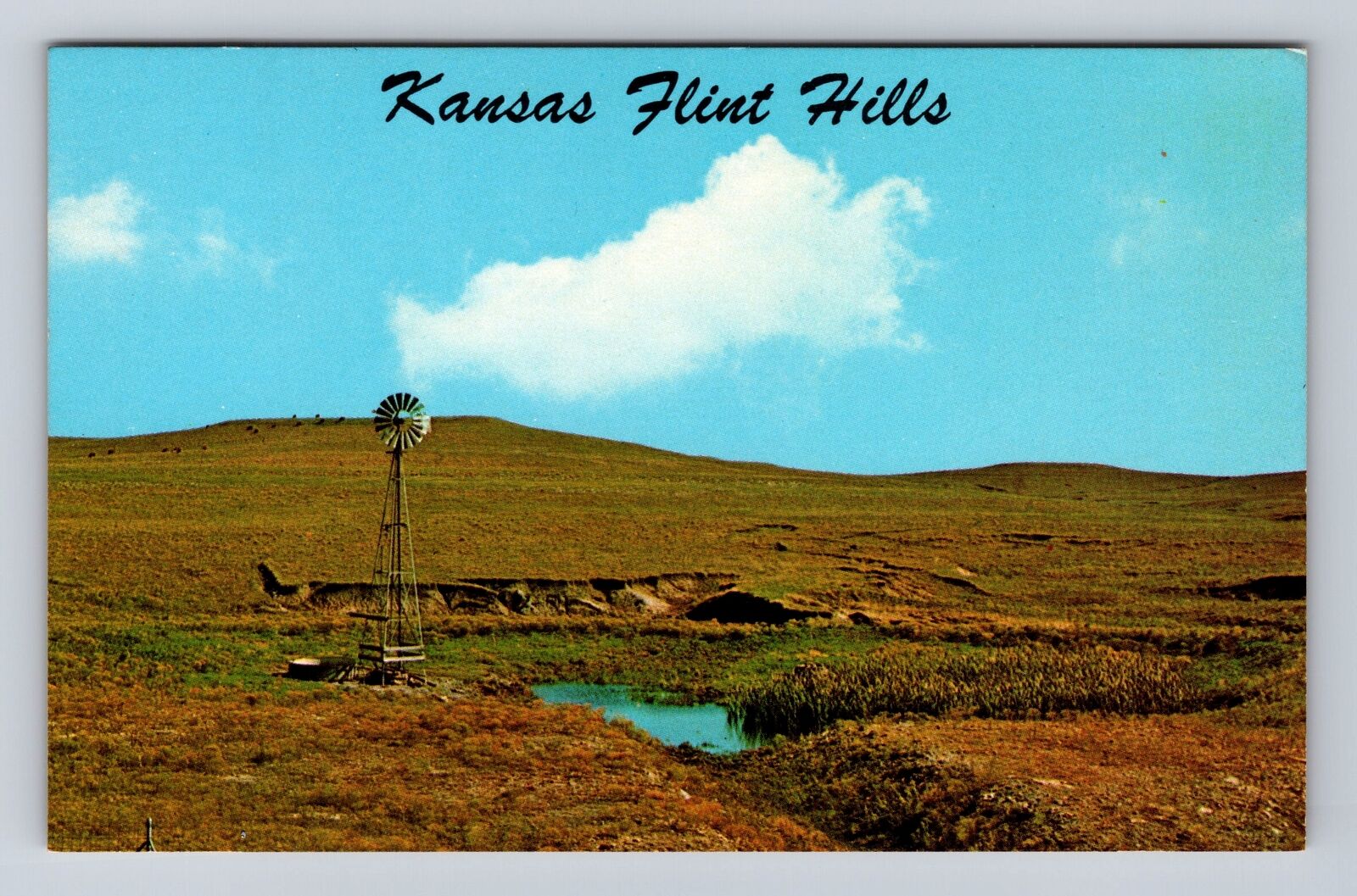KS-Kansas, Windmill on Flint Hills, Pasture Land, Antique Vintage Postcard