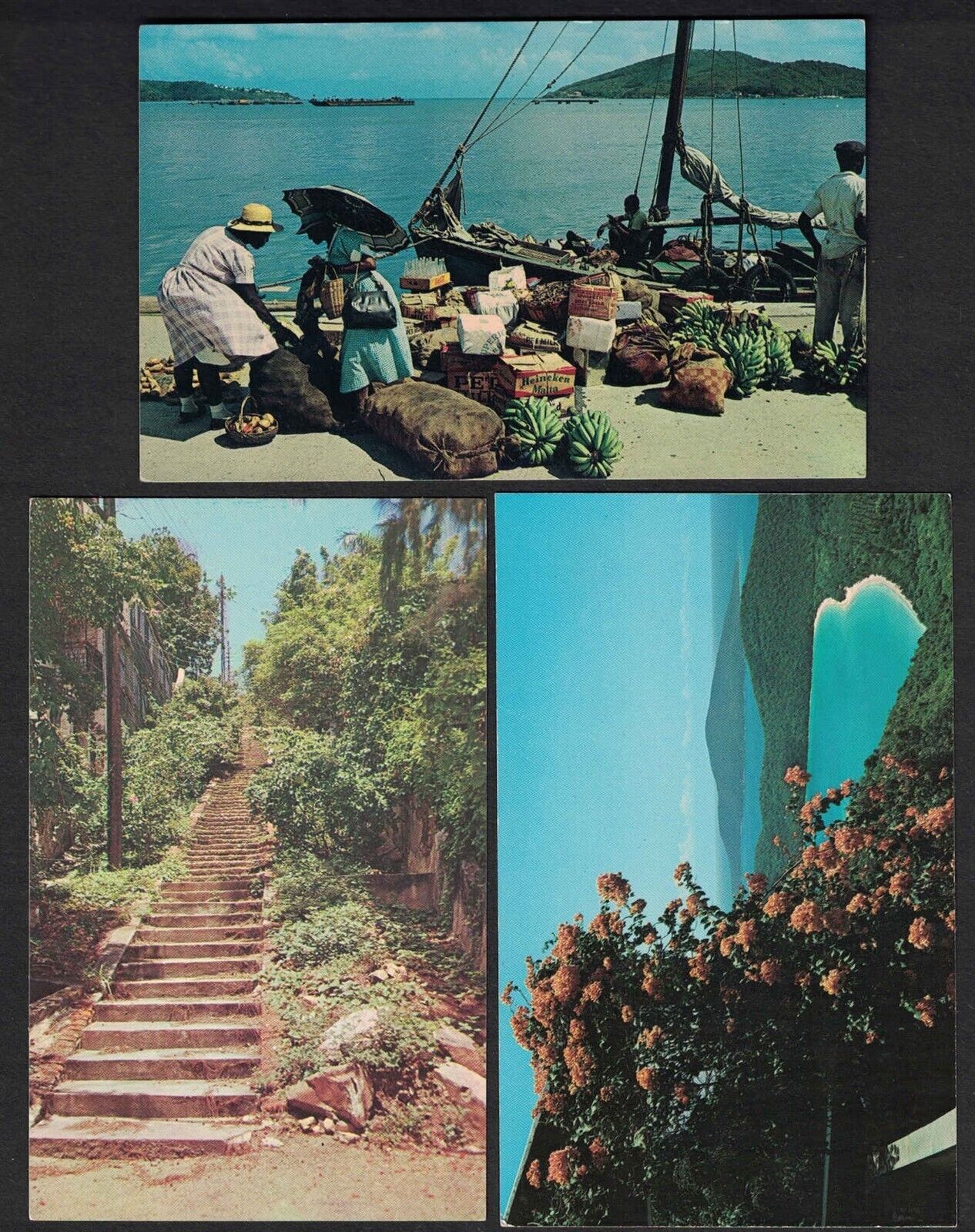 Lot of 3 St Thomas Virgin Islands Postcards - M2