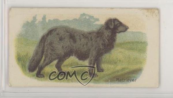 1916 Millbank Animals Stand-Ups Tobacco Retriever #20 z6d