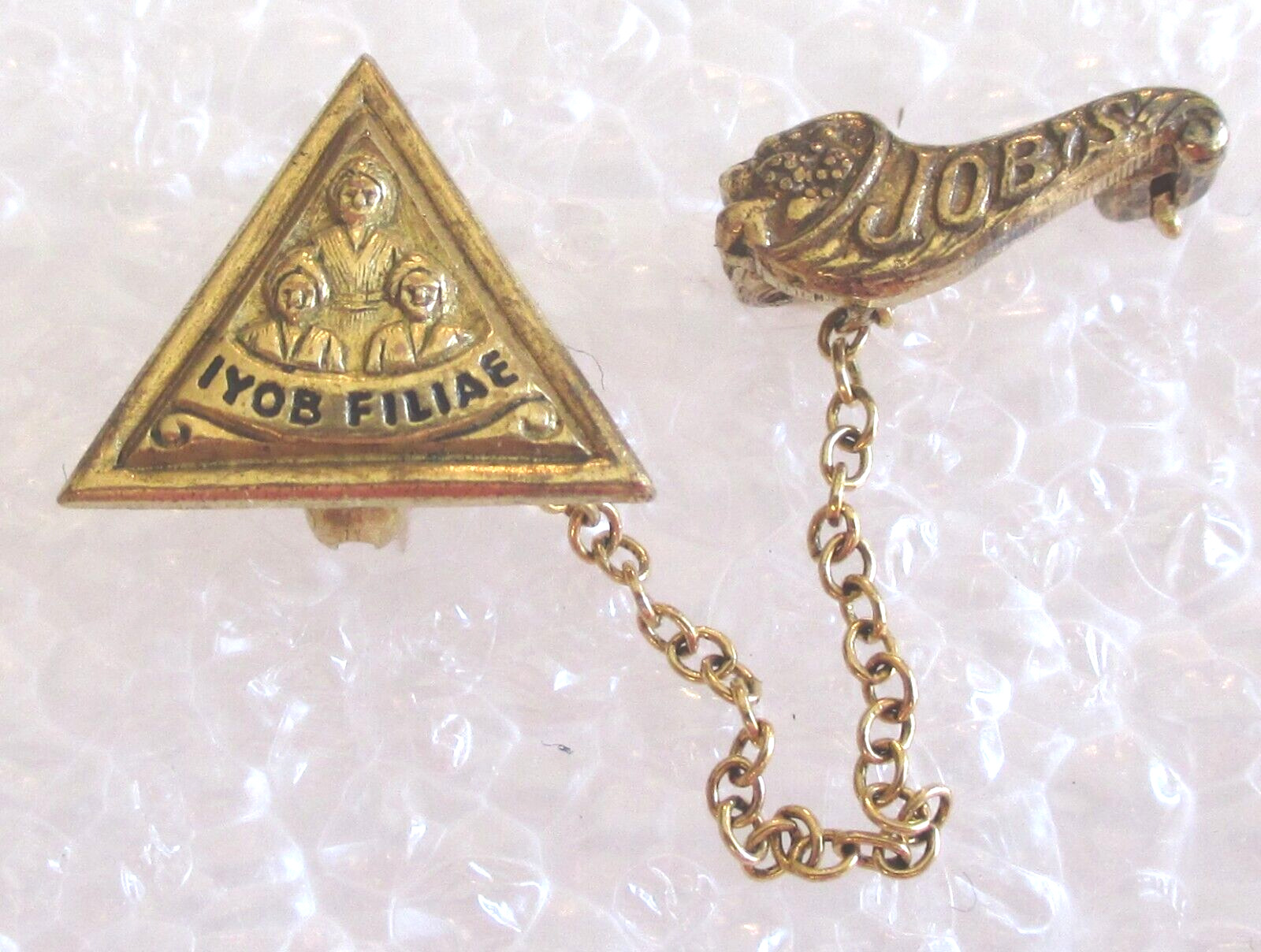 Vintage Masonic Job's Daughters Member Pin - IYOB FILIAE Jobs