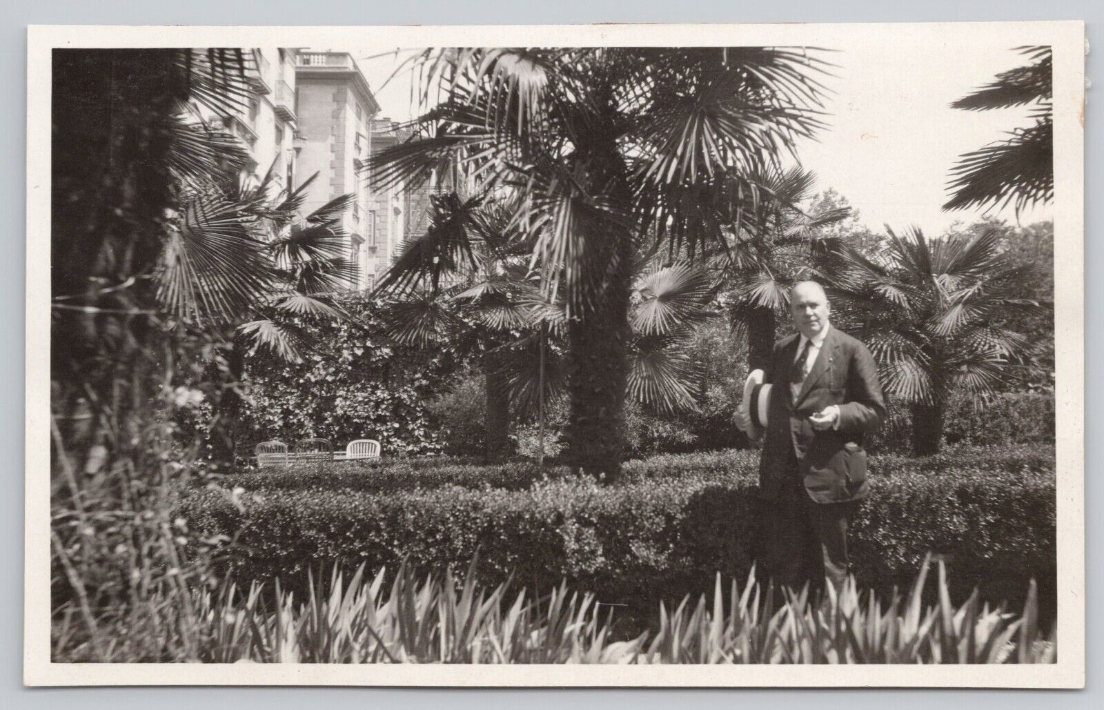 Postcard Vintage RPPC Older Gentleman Suit Tie Straw Hat Palm Trees
