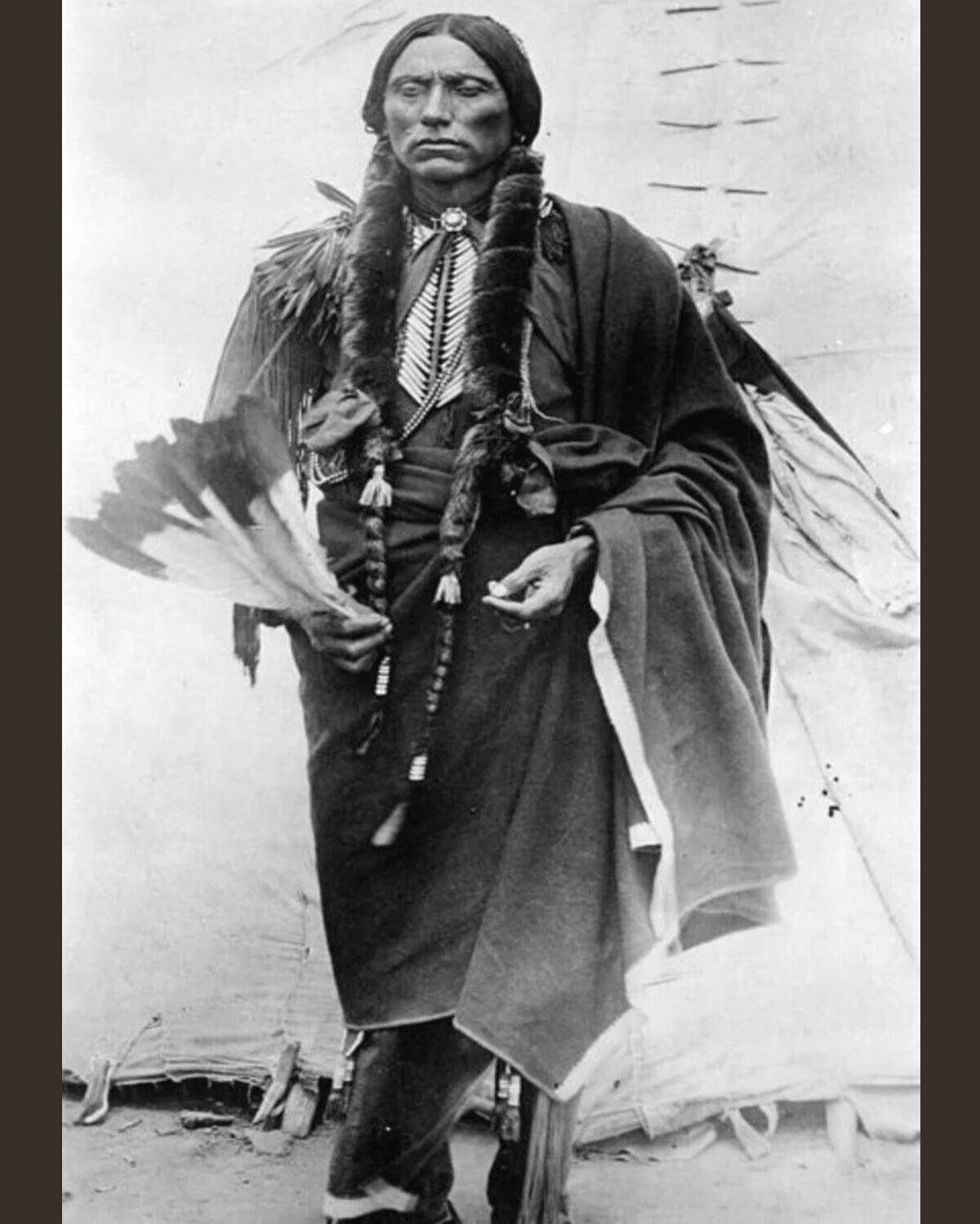 Chief Quanah Parker Of The Kwahadi Comanche Indian 8 x 10 Photo reprint